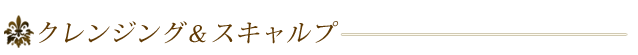 クレンジング&スキャルプ